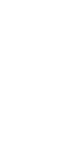 Best SEO Company in India